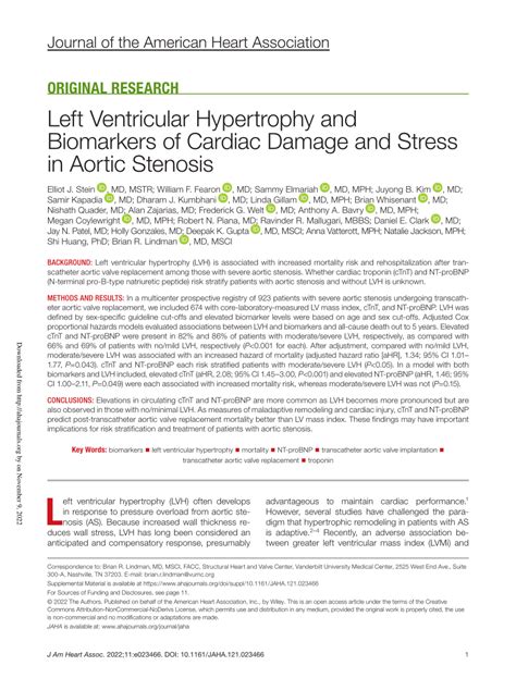 lv nt 22|Left Ventricular Hypertrophy and Biomarkers of Cardiac Damage .